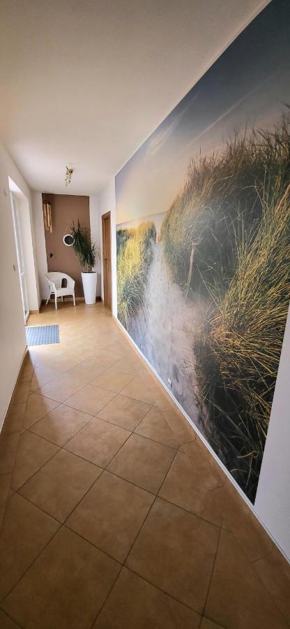 Emada- Pokoje Goscinne I Studia Ostrowo  Esterno foto
